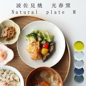 Hasami ware Main Plate Natural M 5-colors 21cm Made in Japan
