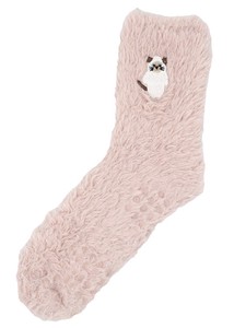 Socks Cat