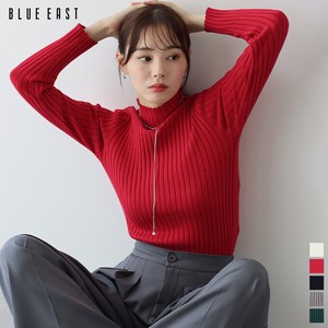 Sweater/Knitwear Color Palette Long Sleeves High-Neck Tops Ribbed Knit