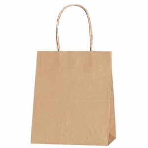 HEIKO（シモジマ） 紙袋  25チャームバッグ 21-12 未晒無地 バラ出荷