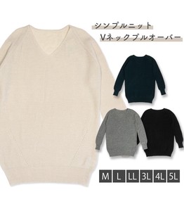 Sweater/Knitwear Pullover Knitted Plain Color Long Sleeves Ladies'