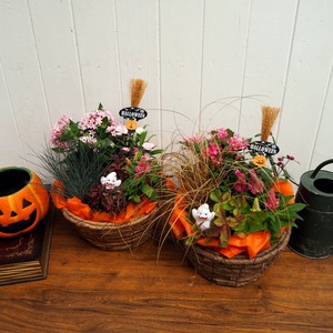【ハロウィン】ｺﾞｰｽﾄﾊﾞｽｹｯﾄ