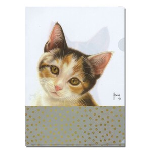 File Stationery Folder Clear 2023 New