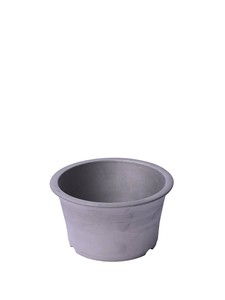 Pot/Planter Plant