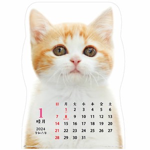 猫です　24ACL-67　　　　　　　　　　　　2024年　カレンダー