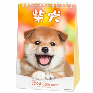 森田米雄・まるごと柴犬　24ACL-543　　　　2024年　カレンダー