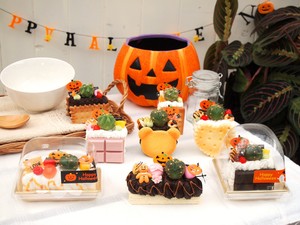 【SAEL品！】ﾊﾛｳｨﾝｻﾝﾄﾞS