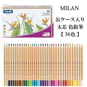 MILAN 【缶ケース】太芯色鉛筆 36本セット（スペイン・輸入・文房具・文具）