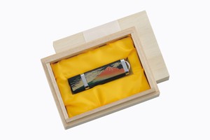 USBメモリー（赤富士）　【日本製 赤富士 USBメモリー 贈り物におすすめ】