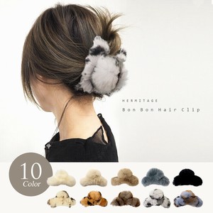 Claw Hair Clip