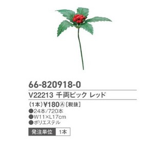 V22213　千両ピック　レッド