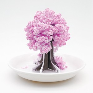 【Fun Science】卓上で桜の開花を何度も楽しめる！手のひらサイズの不思議なインテリア