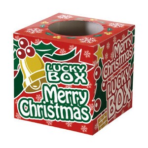 <ウインターナウ>クリスマス抽選箱（小） 6335