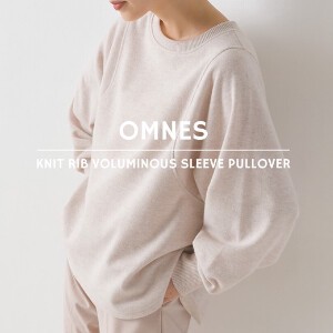 Sweater/Knitwear Pullover Long Sleeves Puff Sleeve