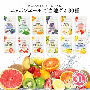 【全30個セット】ニッポンエール ご当地グミ アソート お土産 名産 果実グミ 全国農協食品