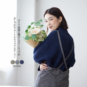 Sweater/Knitwear Pullover Slit Turtle Neck