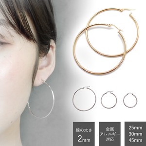 Pierced Earringss sliver Stainless Steel 2mm