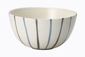 Shigaraki ware Donburi Bowl Donburi Made in Japan