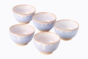 Hagi ware Japanese Teacup Set of 5 Made in Japan