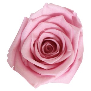 ステムローズブーケ ライトピンク プリザーブドフラワー アレンジメント バラ ギフト プレゼント 母の日