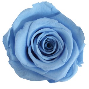 ステムローズブーケ ブルー プリザーブドフラワー アレンジメント バラ ギフト プレゼント 母の日