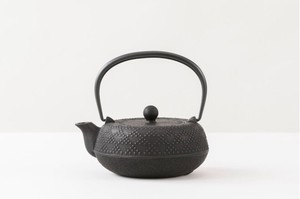 Enamel Nambu tekki Japanese Tea Pot
