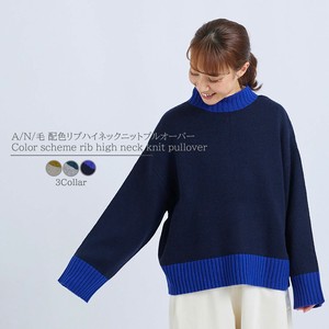 Sweater/Knitwear Color Palette Pullover Knitted High-Neck Rib