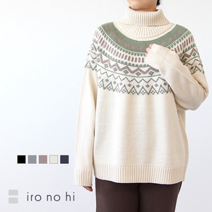 Sweater/Knitwear Pullover Jacquard Knitted Long Sleeves Turtle Neck