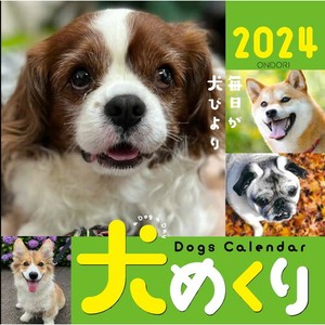 【中央経済社】カレンダー 犬めくり　日めくりカレンダー 2024