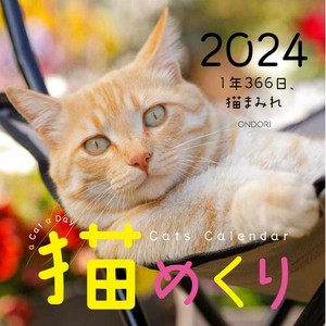 【中央経済社】カレンダー 猫めくり　日めくりカレンダー 2024