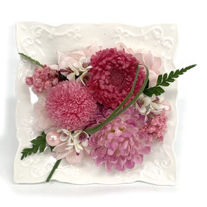 ほっぺマム ピンク プリザーブドフラワー 現代仏花 供花 お供え マム キク 菊 和風 ギフト 小さい