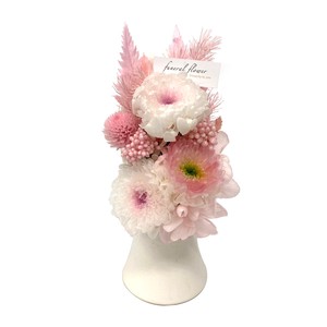 鼓 つづみ ピンク 現代仏花 供花 お供え マム キク 菊 和風 ギフト プレゼント 小さい ミニ
