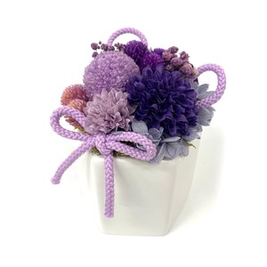 とまり パープル 現代仏花 供花 お供え マム キク 菊 和風 ギフト プレゼント 小さい ミニ