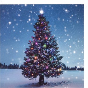 グリーティングカード クリスマス「クリスマスツリー」メッセージカード 2023新作