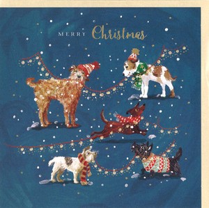 グリーティングカード クリスマス「5匹の犬」メッセージカード 2023新作
