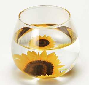 Cup/Tumbler Sunflower Made in Japan