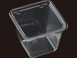 サラダ・フルーツ容器 エフピコ APベジBOX115-600 本体