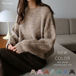 Sweater/Knitwear Mix Color Cropped