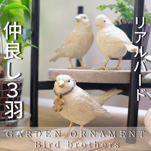 【バード】アニマルオーナメント/ガーデン/雑貨/ガーデン雑貨/置物/3匹セット/