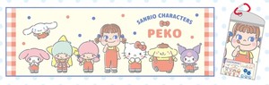 Pre-order Cooling Item Sanrio Characters