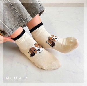 Crew Socks Shimaenaga Ladies fashion Cat Socks [2024 A/W NEW]