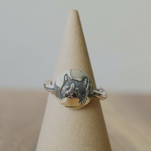 Silver-Based Ring Bird
