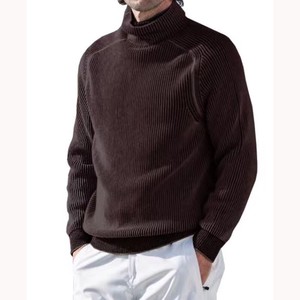 Sweater/Knitwear Knitted Plain Color Long Sleeves High-Neck Autumn/Winter