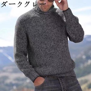 Sweater/Knitwear Plain Color Long Sleeves High-Neck