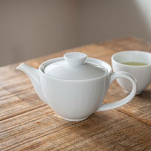 Mino ware Japanese Teapot Miyama Made in Japan