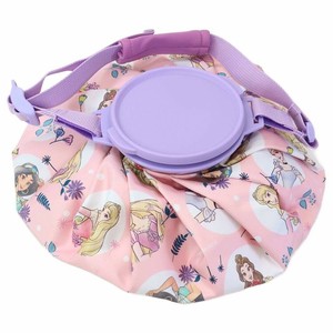 【アウトドアグッズ】ディズニープリンセス 氷のう キュートフルールピンク