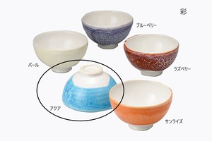 彩　飯碗（アクア）【日本製 信楽焼 陶器】