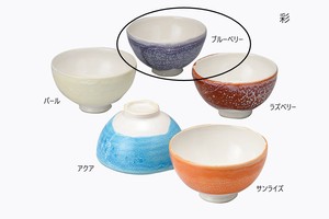 彩　飯碗（ブルーベリー）【日本製 信楽焼 陶器】
