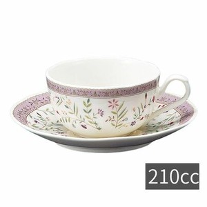 Mino ware Cup & Saucer Set Saucer 210ml Made in Japan