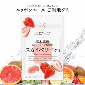 ご当地グミ ニッポンエール 栃木県産 スカイベリーグミ 果実グミ 全国農協食品
